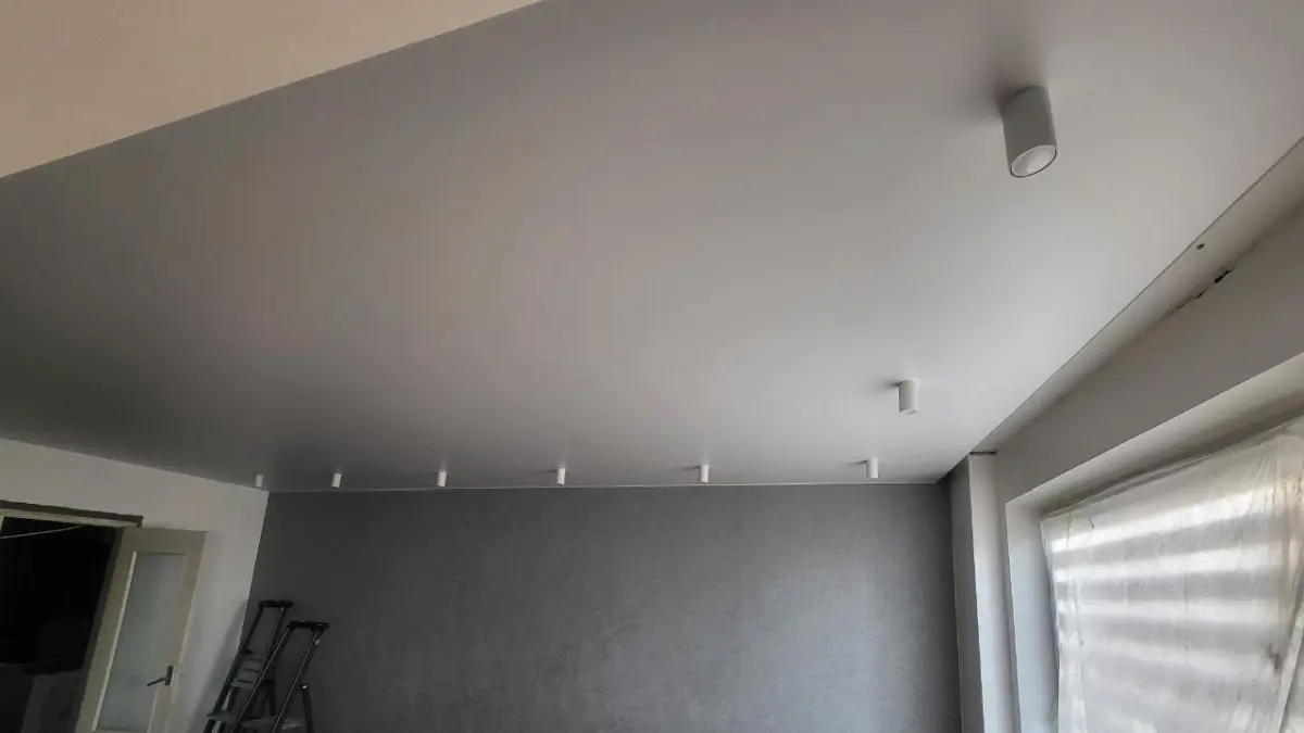 Kardinaniišš — peidetud kardinasüsteem