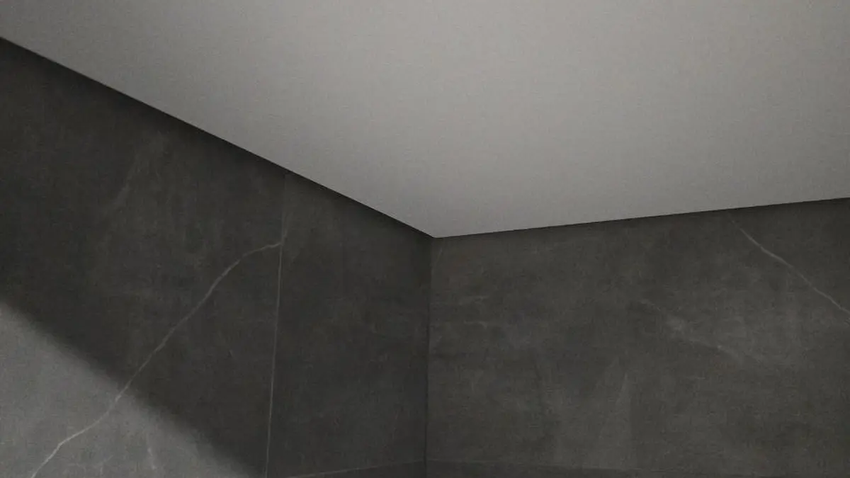 Parduv lagi varjuprofiiliga vannitoas